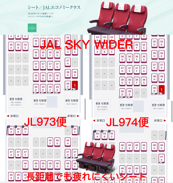 ちょいと国際線気分に浸れるフライト JL973、974便