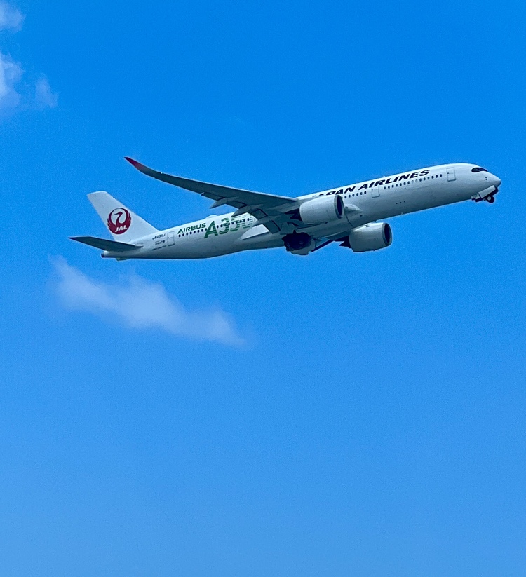 那覇空港で飛行機ウォッチング〜✈️🌺✈️