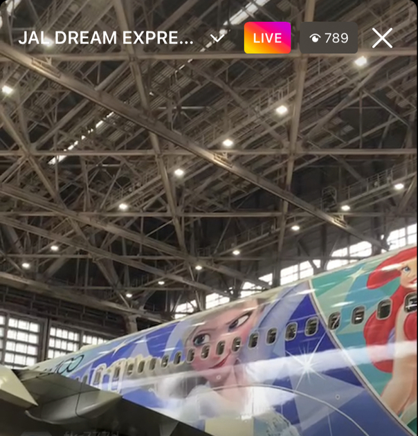 JALDREAMEXPRESSDisney100可愛いです。