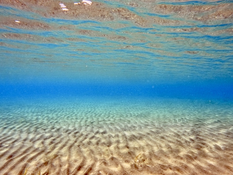 Wakanaさん 支笏湖の発見レポ