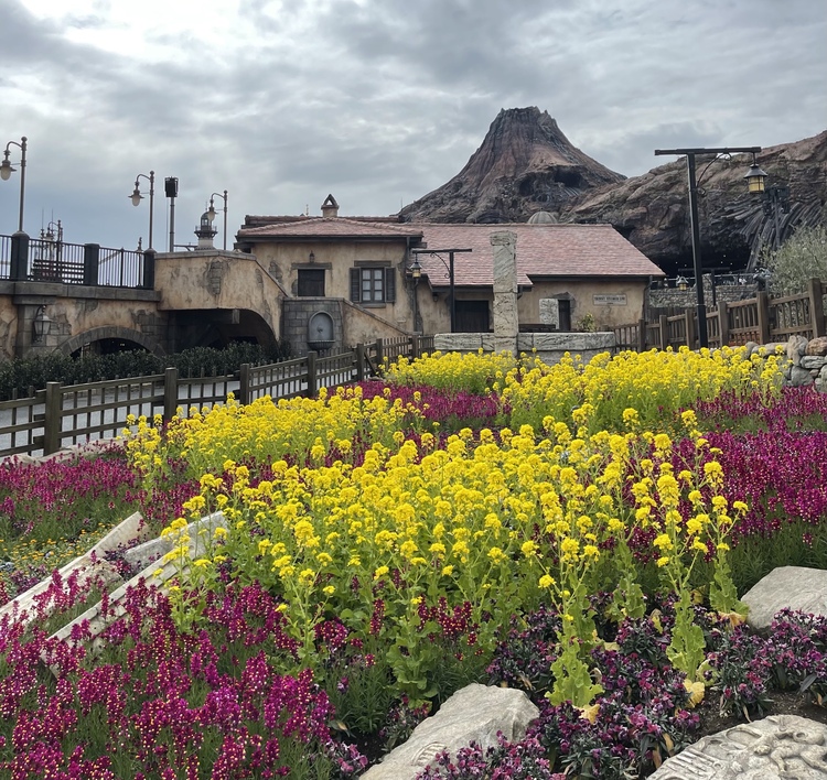 一期一会 いちご さん 東京ディズニーシーの発見レポ