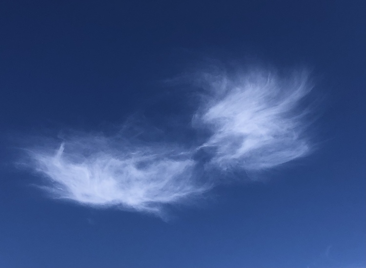 す さん 天使の羽みたいな雲 空を