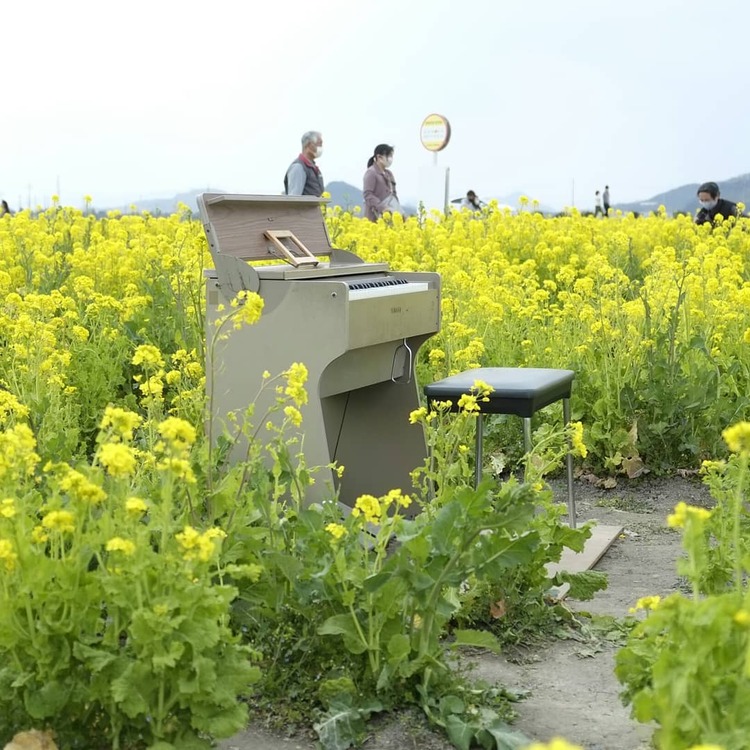 進一さん 道の駅 笠岡ベイファームの発見レポ