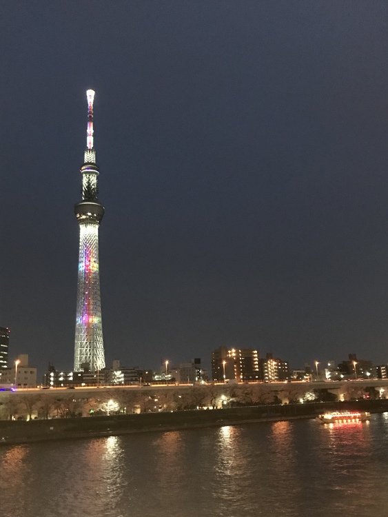 こにまるさん お花見 春さがし 本日は近