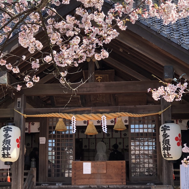 りょう散歩さん 宇多須神社の発見レポ