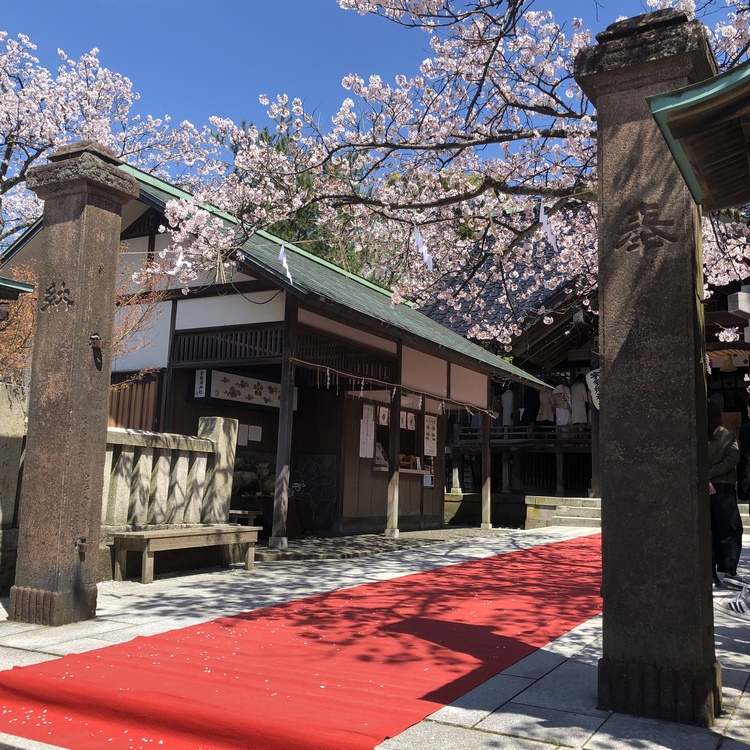 りょう散歩さん 宇多須神社の発見レポ