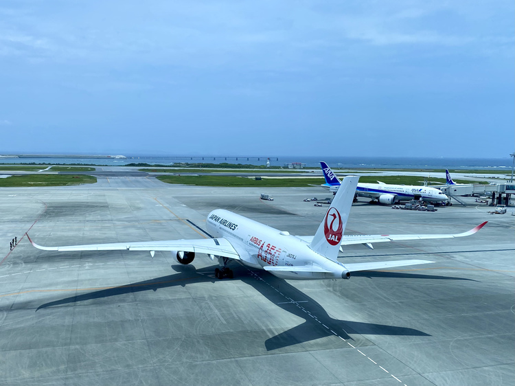 めんたいこさん 那覇空港の発見レポ