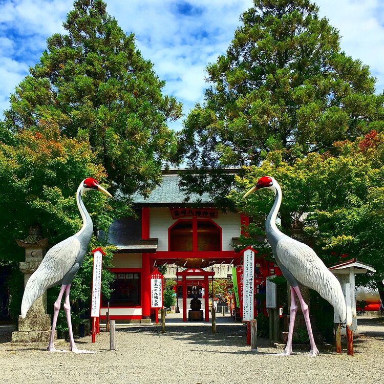 山田ごうさん・出水箱崎八幡神社の発見レポ