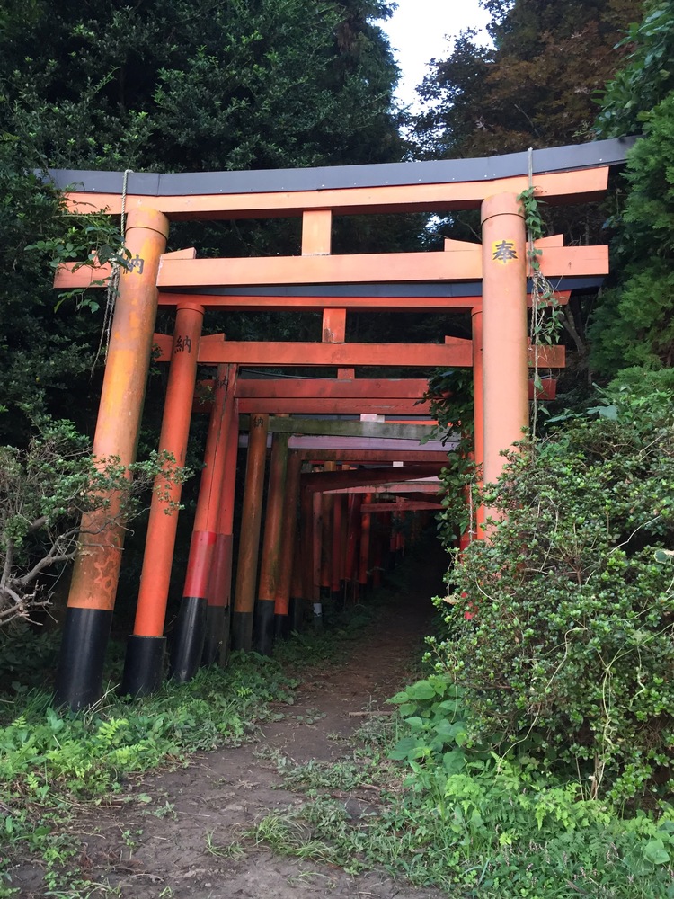 全日本旅オブザイヤー委員会さん 白赤稲荷神社の発見レポ