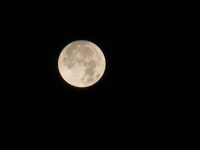 Maniju Moon 078さん 昨晩の月は 中秋の名月でし