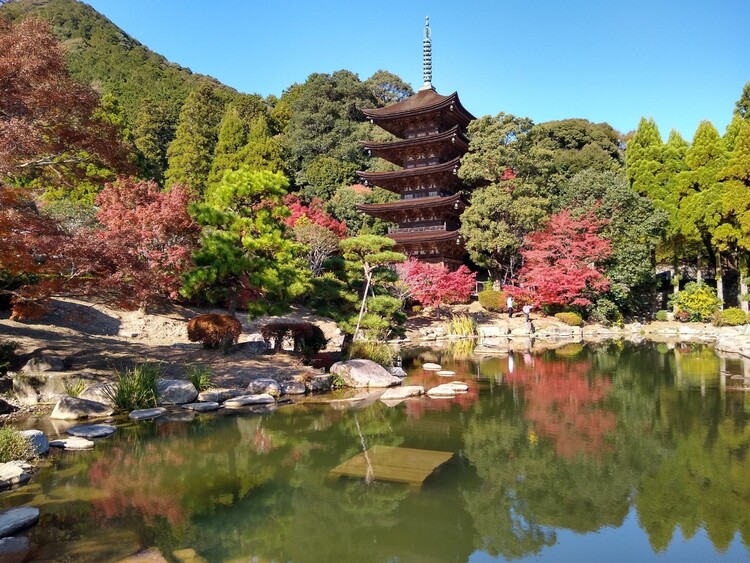 Kiraraさん 瑠璃光寺の紅葉がとてもキレ