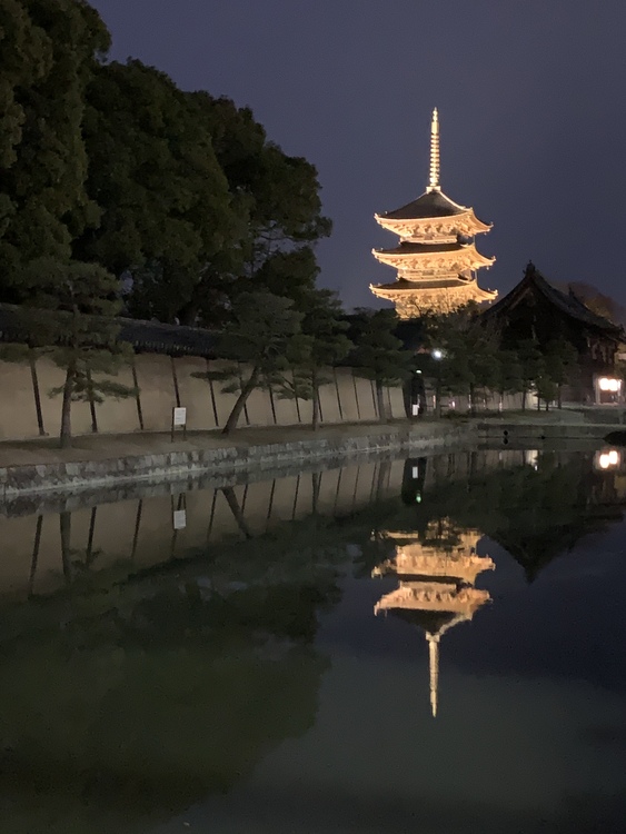 ナオのそらさん 京都 世界遺産 東寺の発見レポ