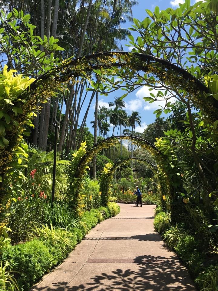 Tlovel Miniさん Singapore Botanic Gardensの発見レポ