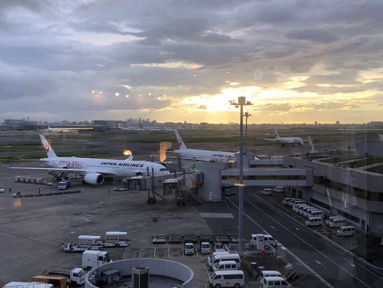 なえさん 羽田空港国内線旅客ターミナルの発見レポ