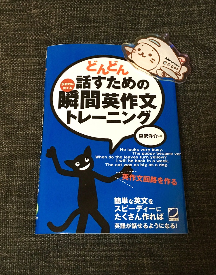 きりんさん 英会話のお勉強 上達