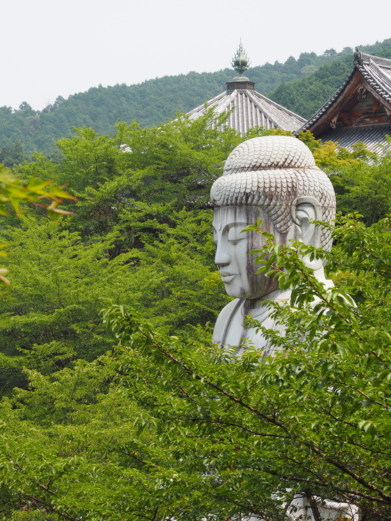 M Takayama さん 壺阪寺 Tsubosaka Dera Templeの発見レポ