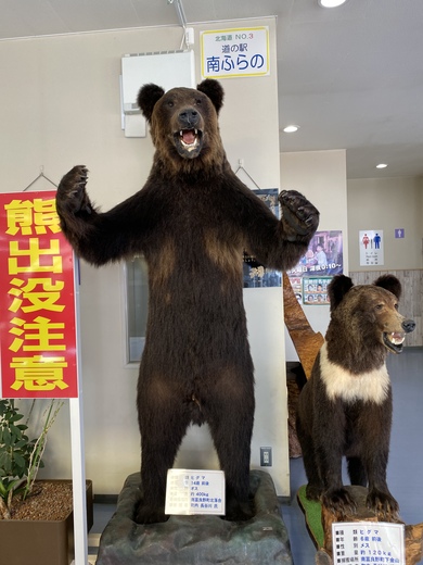 魔子さん・南ふらの 道の駅の発見レポ