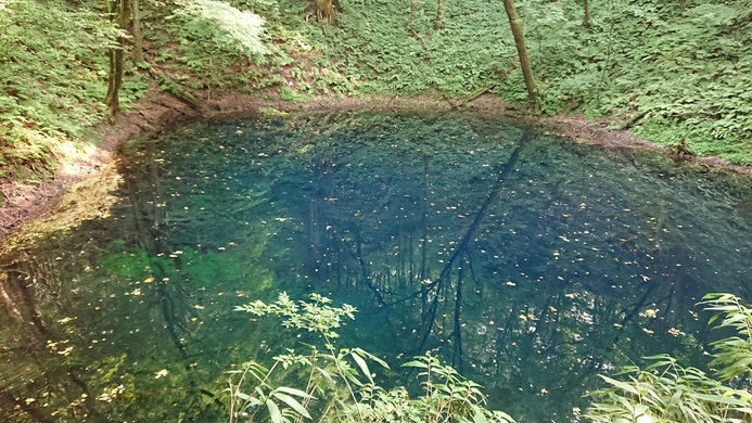 頑張れJALさん・青森 世界遺産 白神山地 - 青池の発見レポ