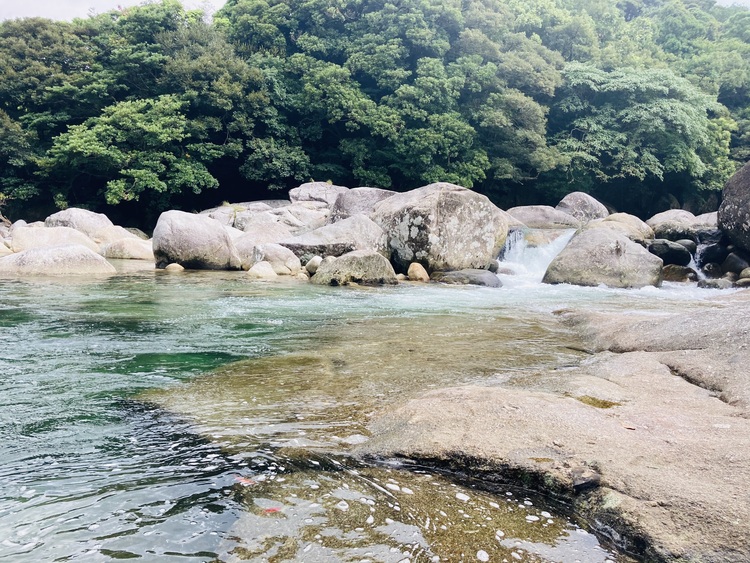 たけだjrcさん 屋久島 永田 横河渓谷の発見レポ