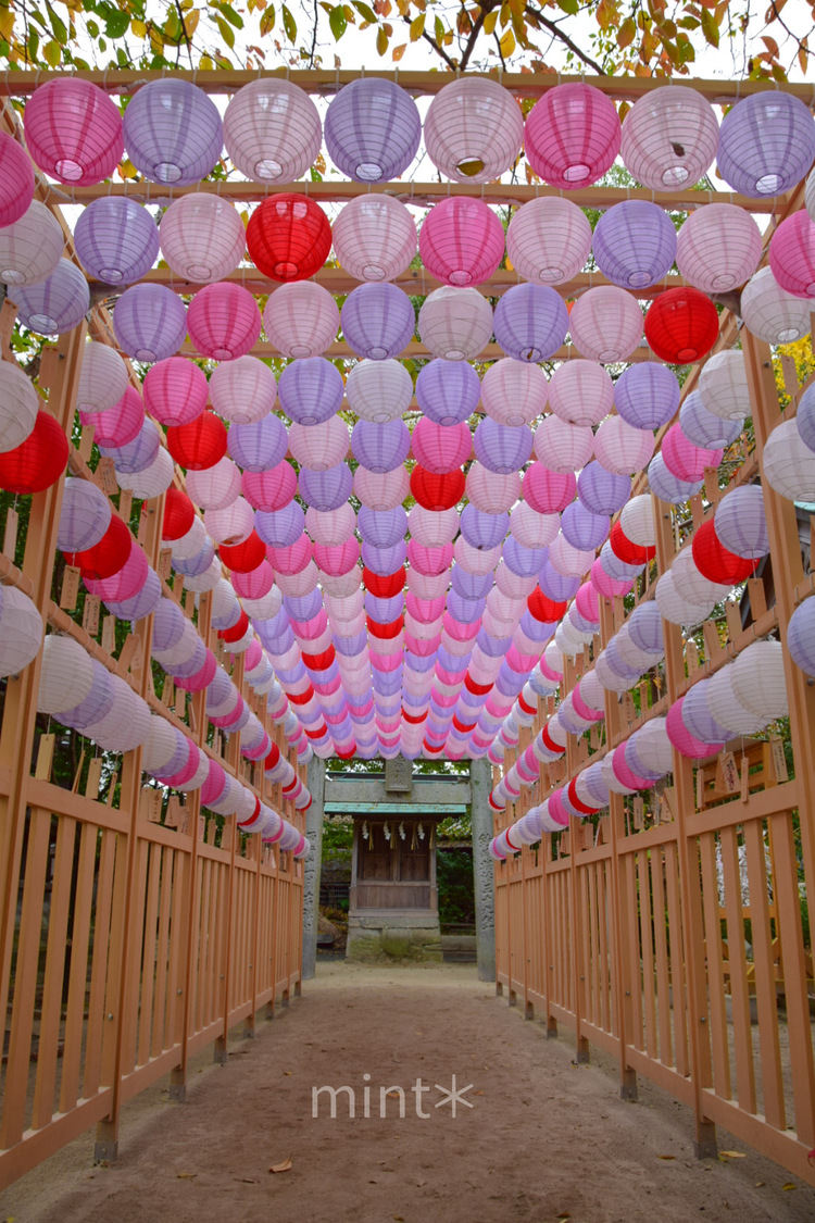 Mayu Choco Mintさん 福岡現人神社の発見レポ